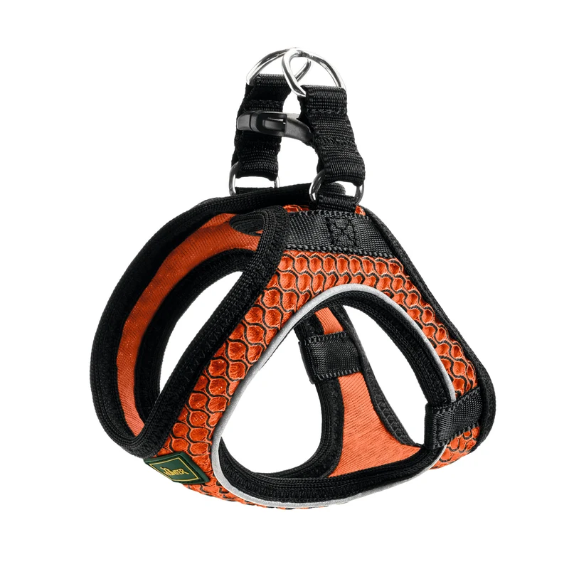 HILO Set Geschirr & Leine | orange