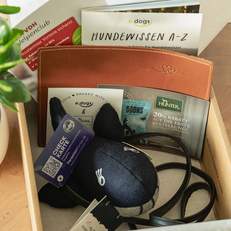 Welpenbox edogs X HUNTER