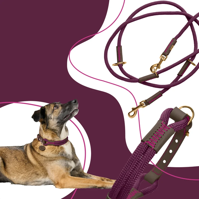 MALIA Set Halsband & Leine | brombeer