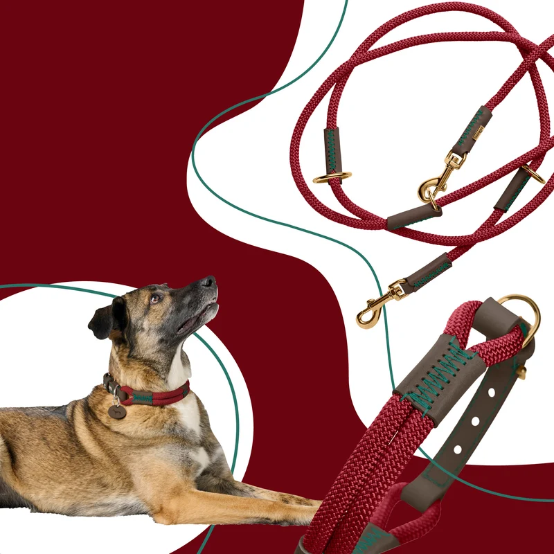 MALIA Set Halsband & Leine | weinrot