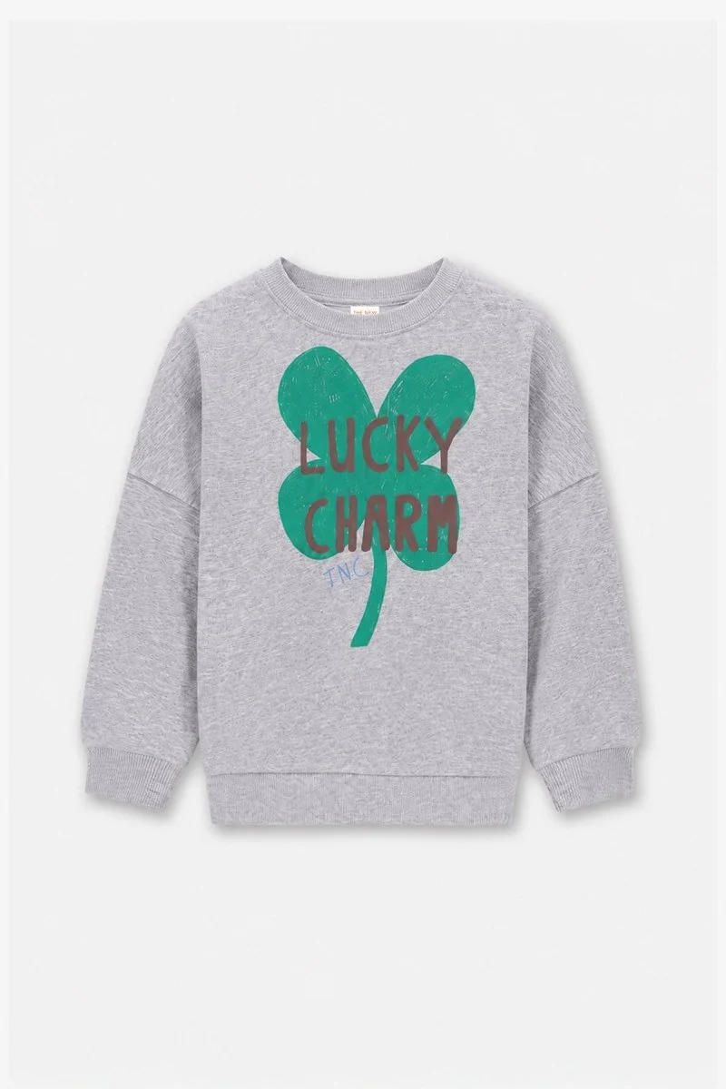 BILLIE SWEATER GRIJS WILD AT HEART