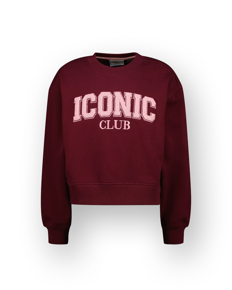 Meisjes Sweater Noralie