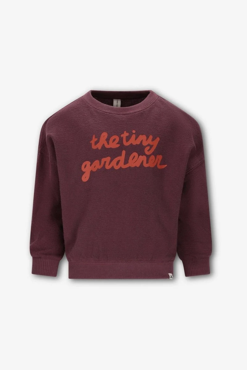 Bo Sweater Bruin