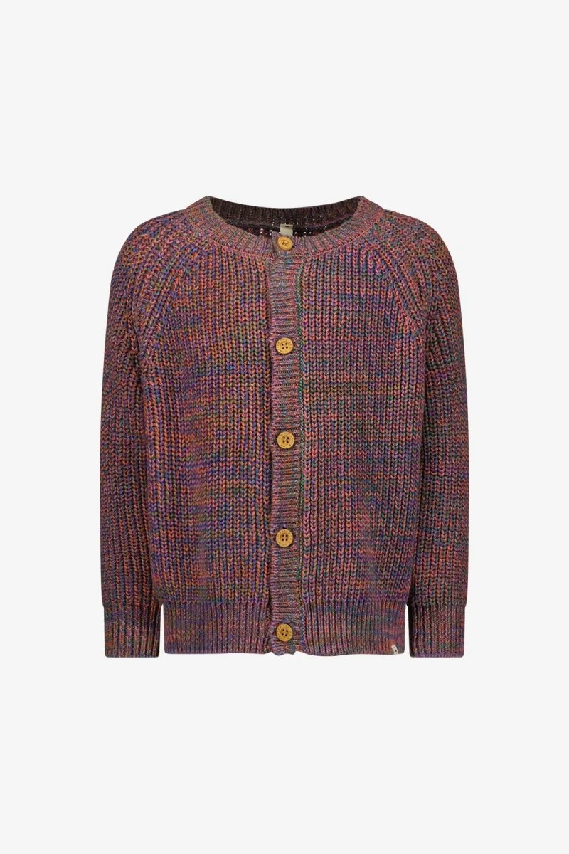 Miles Vest Multi Color Paars