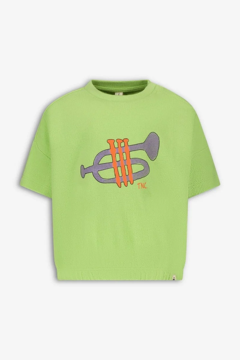 Cesar sweater licht groen Dancing