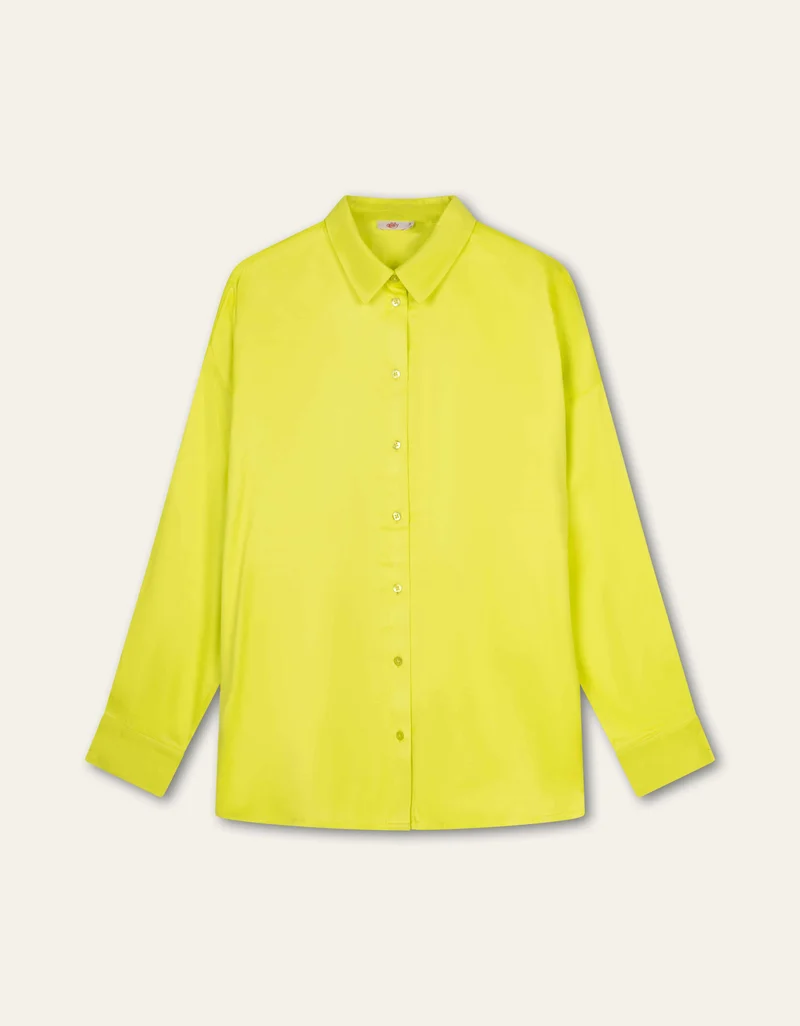 Babita Blouse