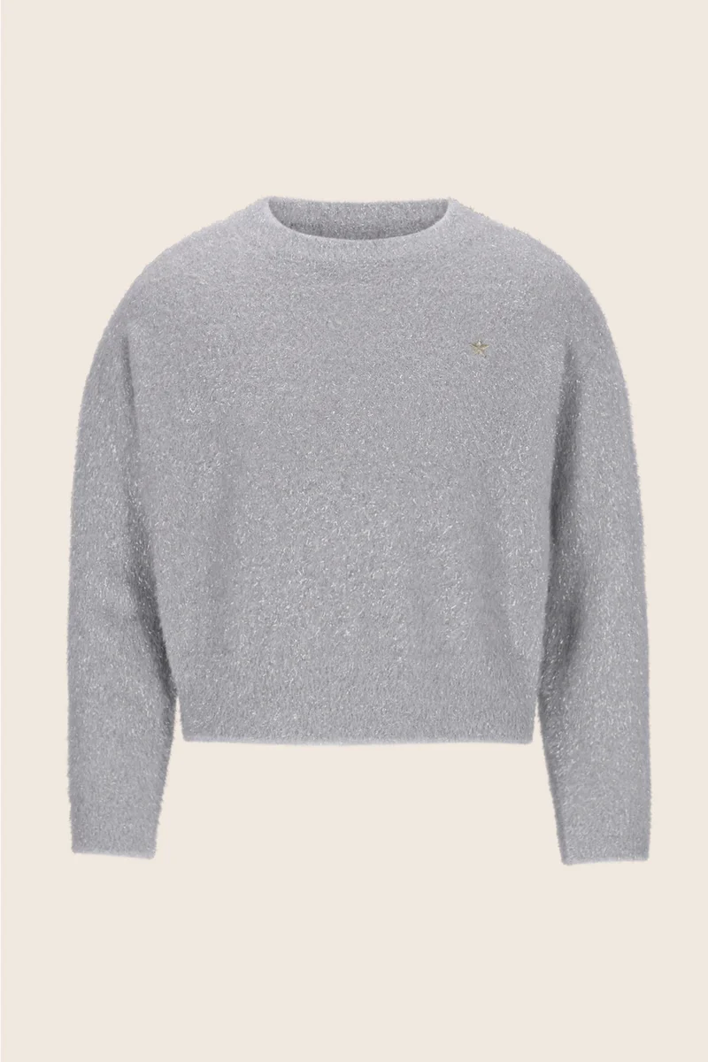 Do sweater Silver