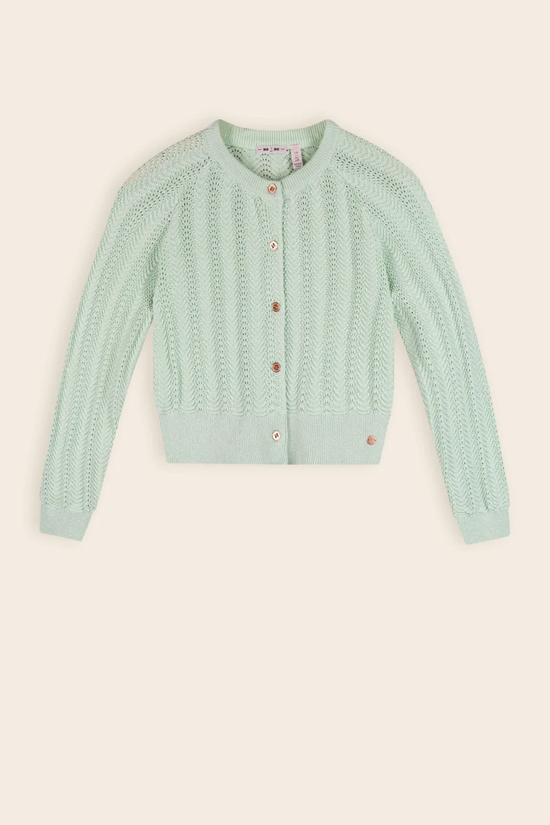 Anais Gebreid Vest Mint Groen