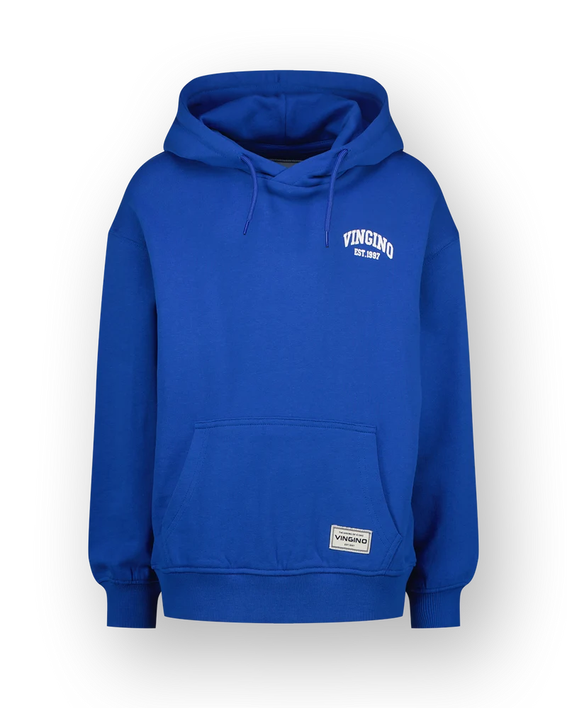 Hoodie Icon-hoody