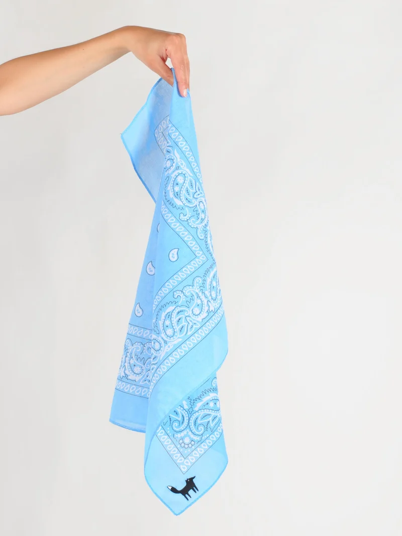 tally-ho bandana