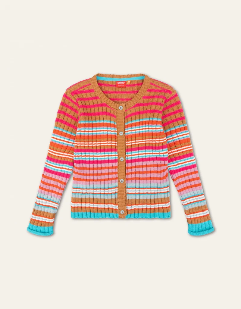 Vintage Vest