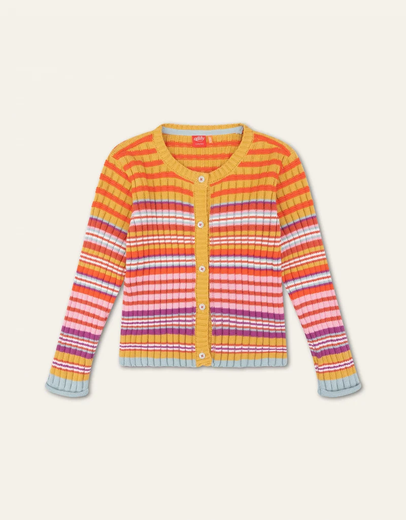 Vintage Vest