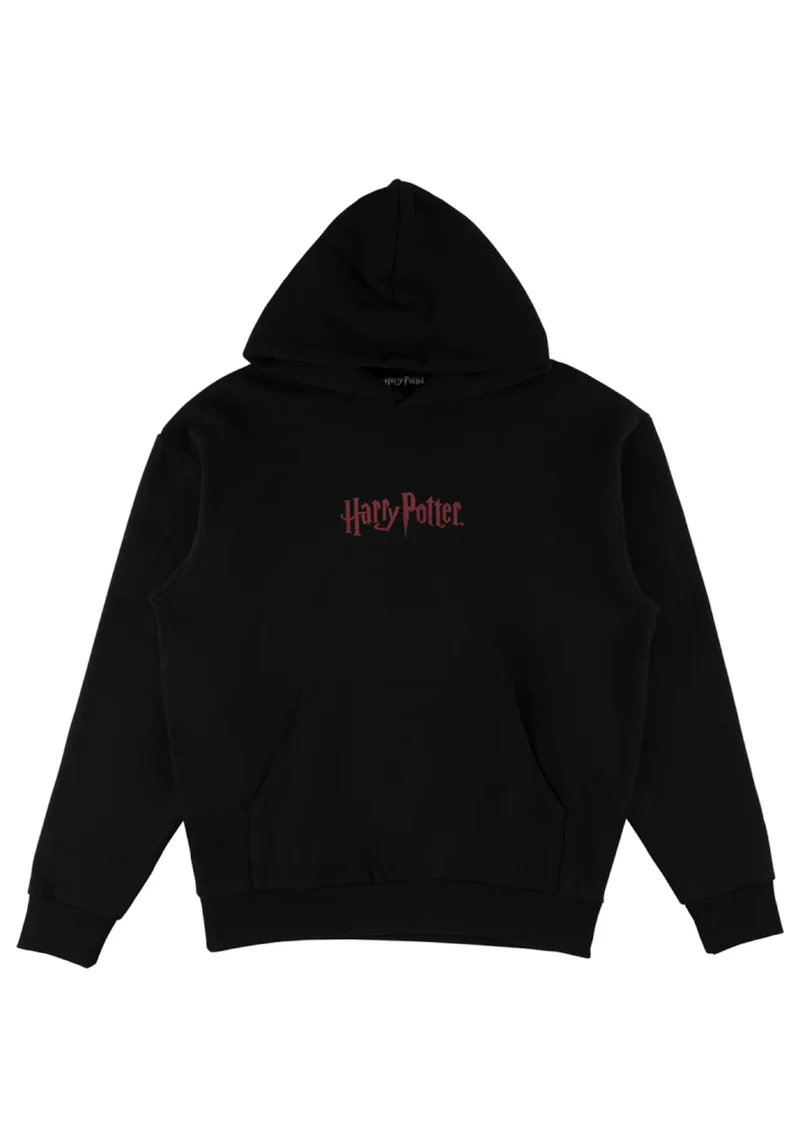 x Harry Potter Arrival