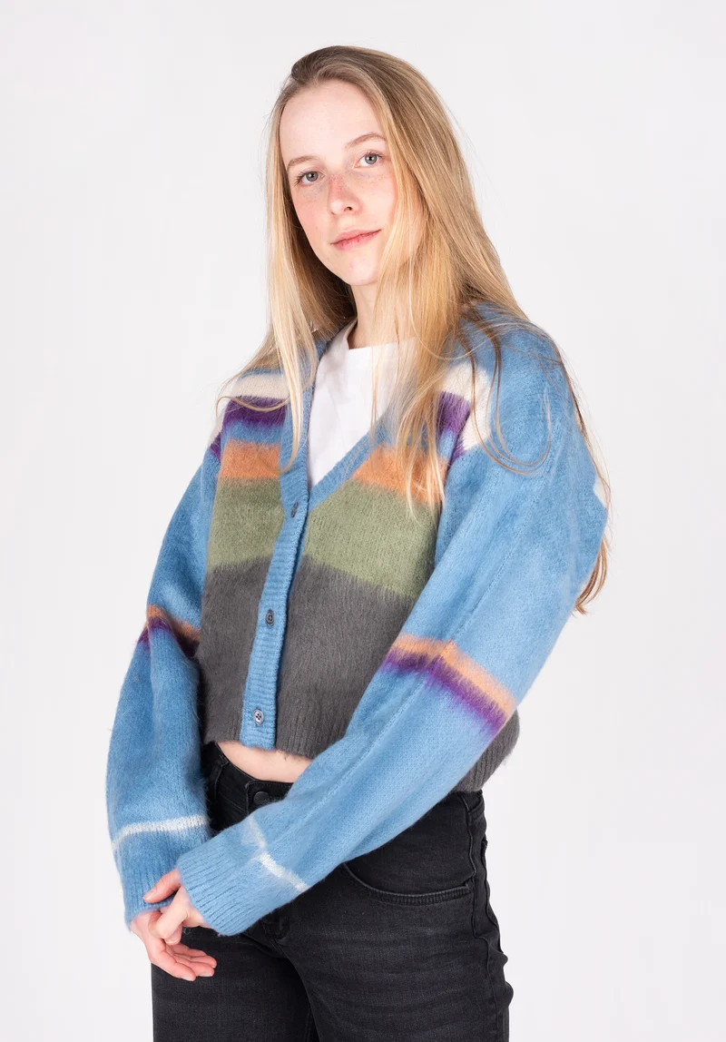 Obey Color Stripe Cardigan