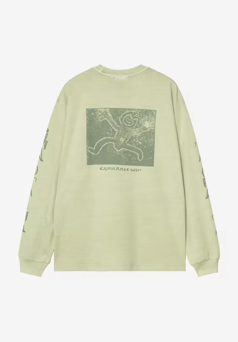 Terrestrial