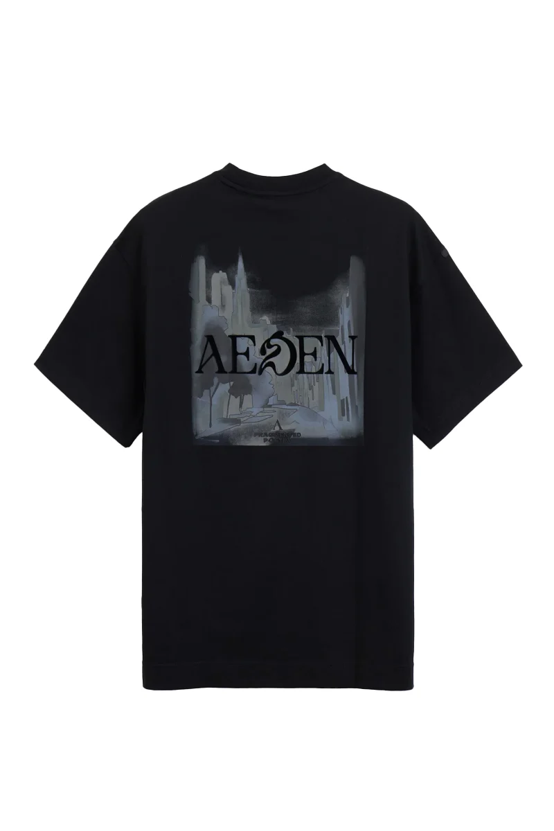 AEDEN T-SHIRT SYLVAIN TEE ZWART