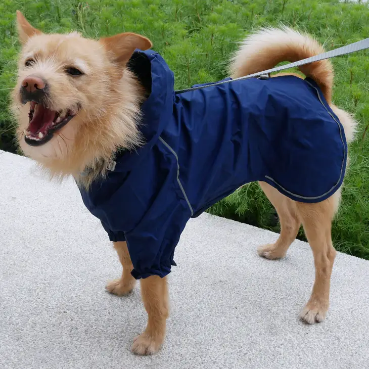 Hondenregenjas Blueberry pet True Navy