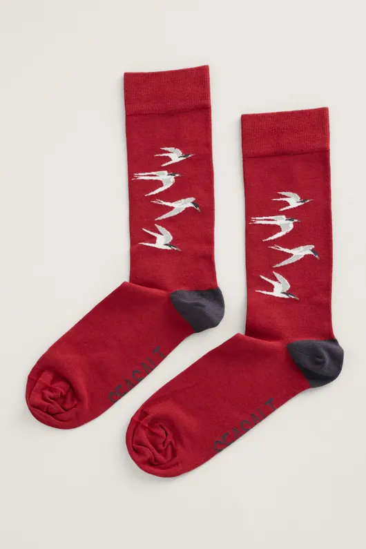 Seasalt Cornwall men's bamboo arty socks western sky red sail