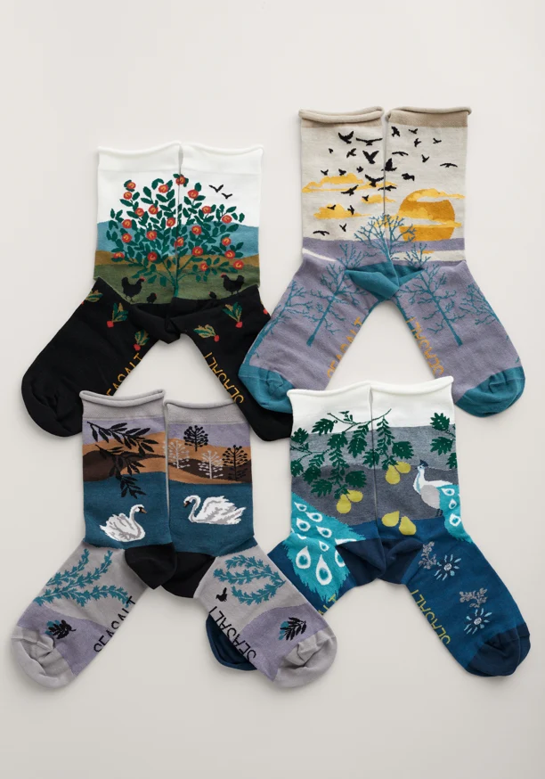 Seasalt Cornwall postcard socks box O'4 hensbarrow mix