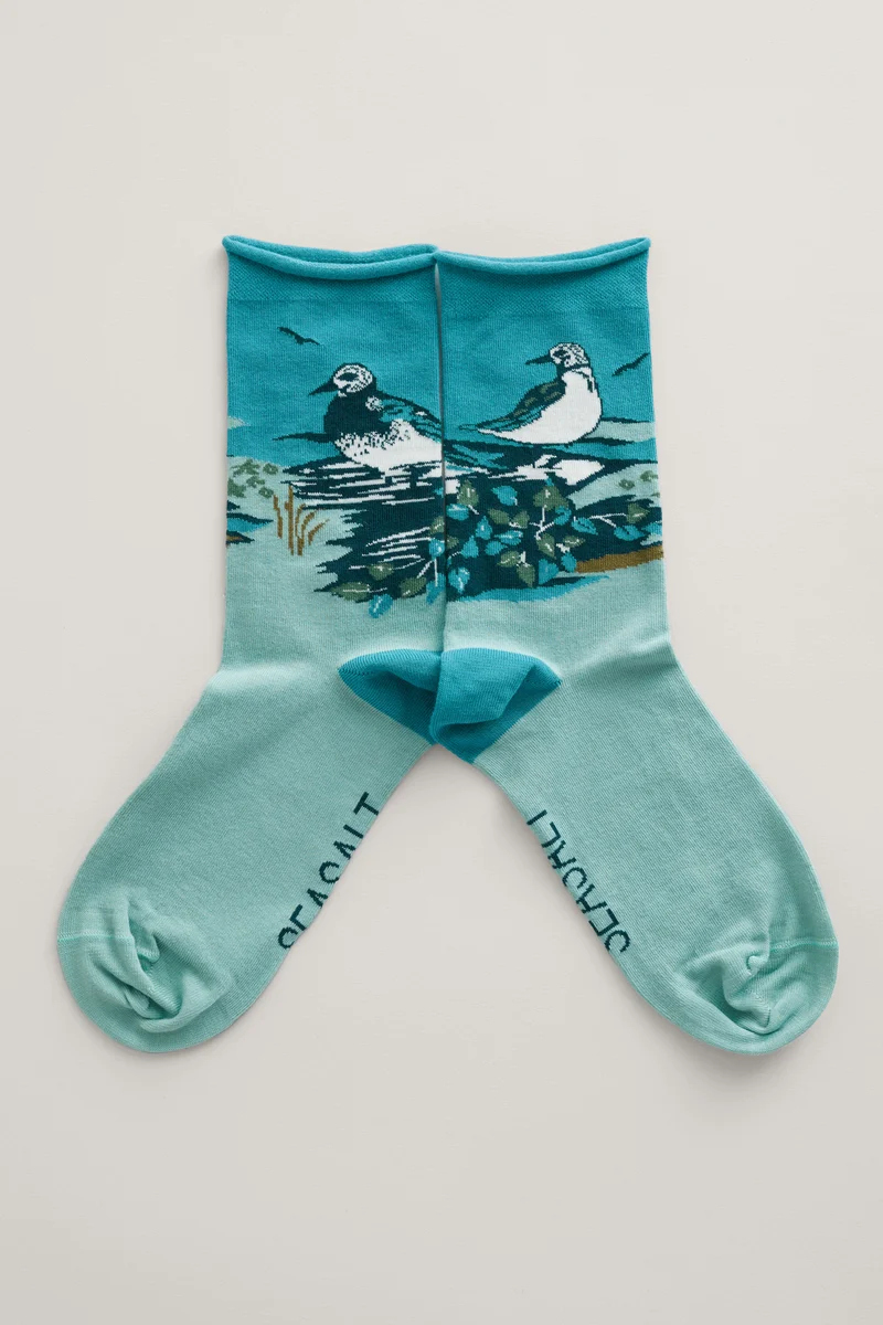 Seasalt Cornwall postcard socks turnstone scene limpet