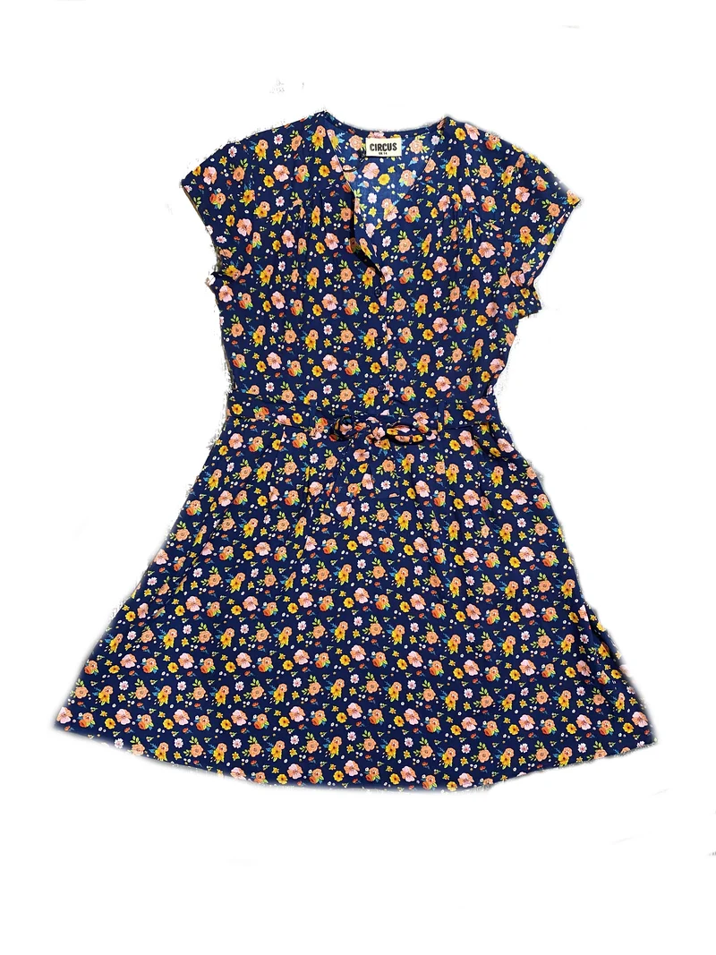 Circus dress Ingrid la