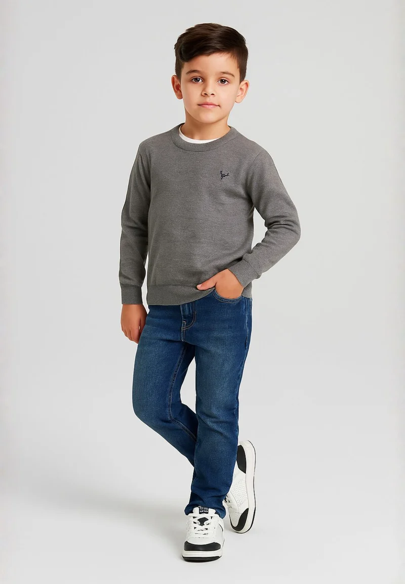 Boys' fine knit jumper in grey