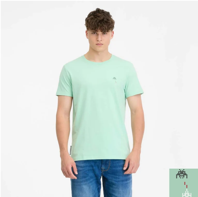 Ragwear endrew C t-shirt mint