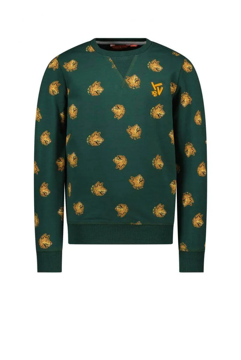 TYGO&vito Boys Sweater JESSE Dark Green