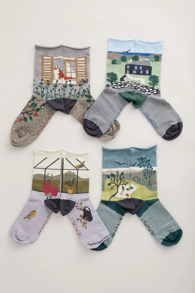 Seasalt Cornwall women's postcard socks box O'4 apple yard mix