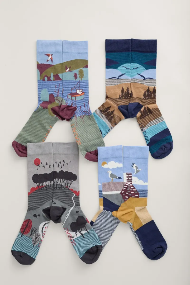 Seasalt Cornwall men's postcard socks box O'4 rooftop view mix