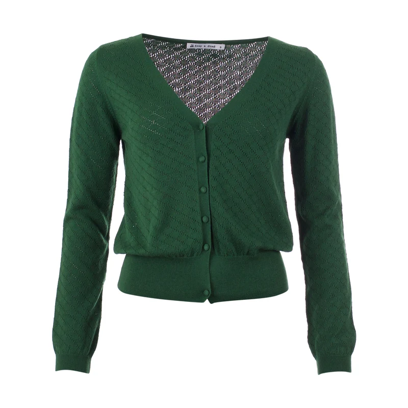 Groen vest met V-hals | Froy & Dind cardigan Gerdy eden