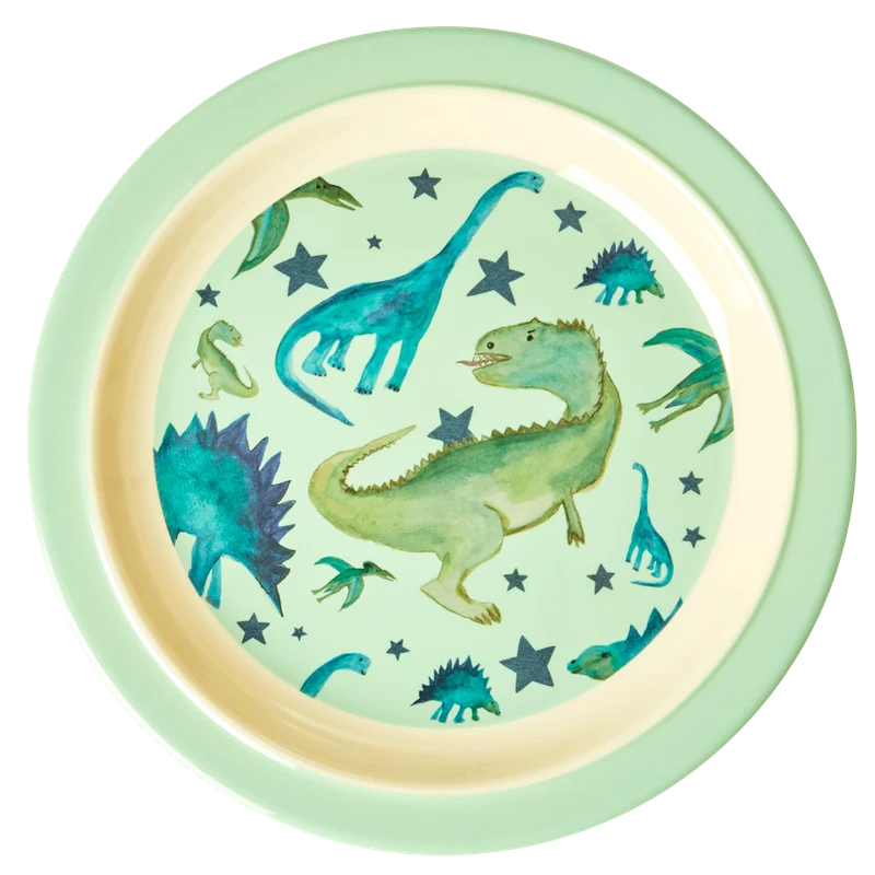 Rice melamine kids plate dino print