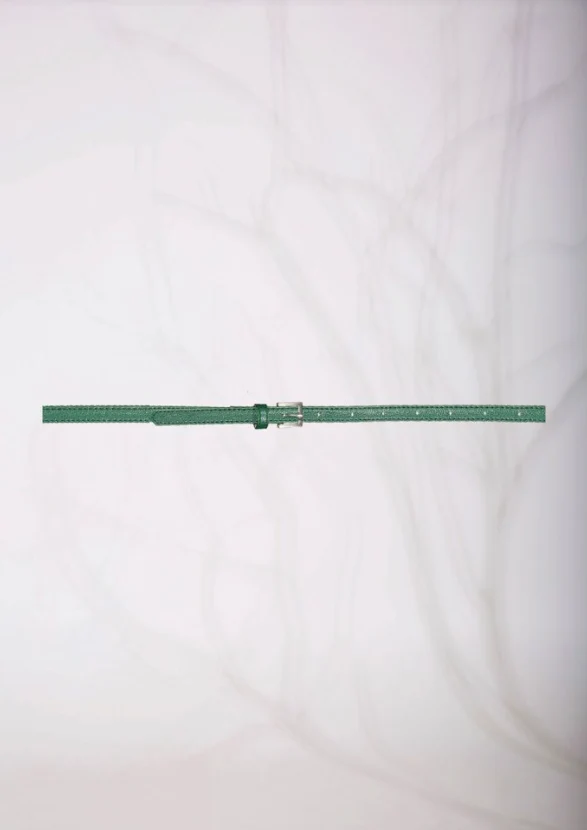 Groene riem | 4 Funky Flavours CPM