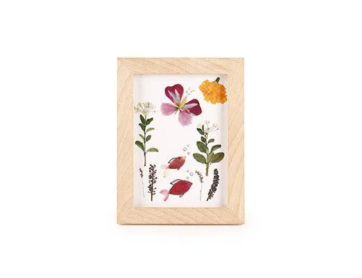 Kikkerland Huckleberry Make Your Own Pressed Flower Frame Art