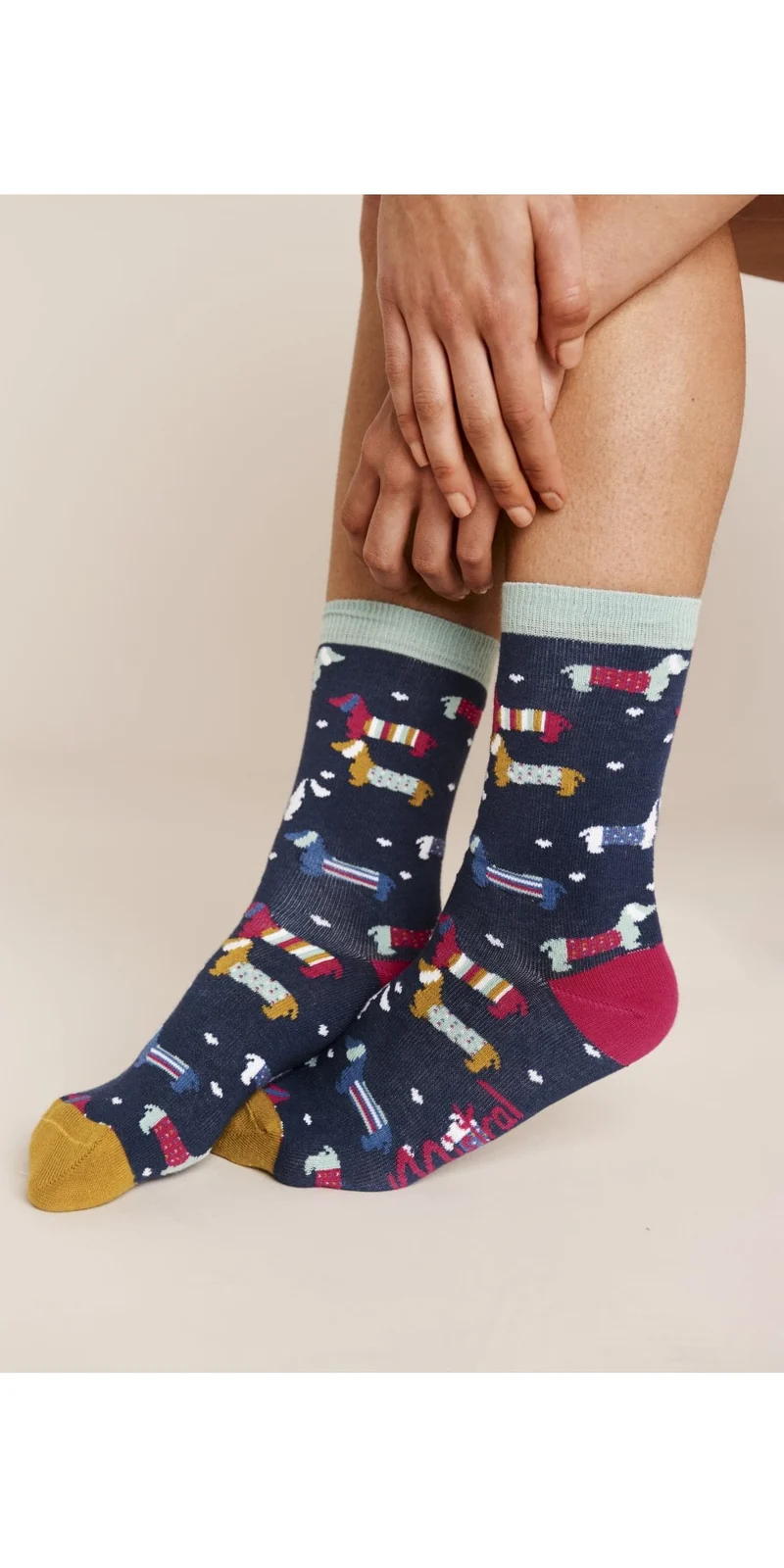 Mistral Dogs In Jumpers Socks Navy