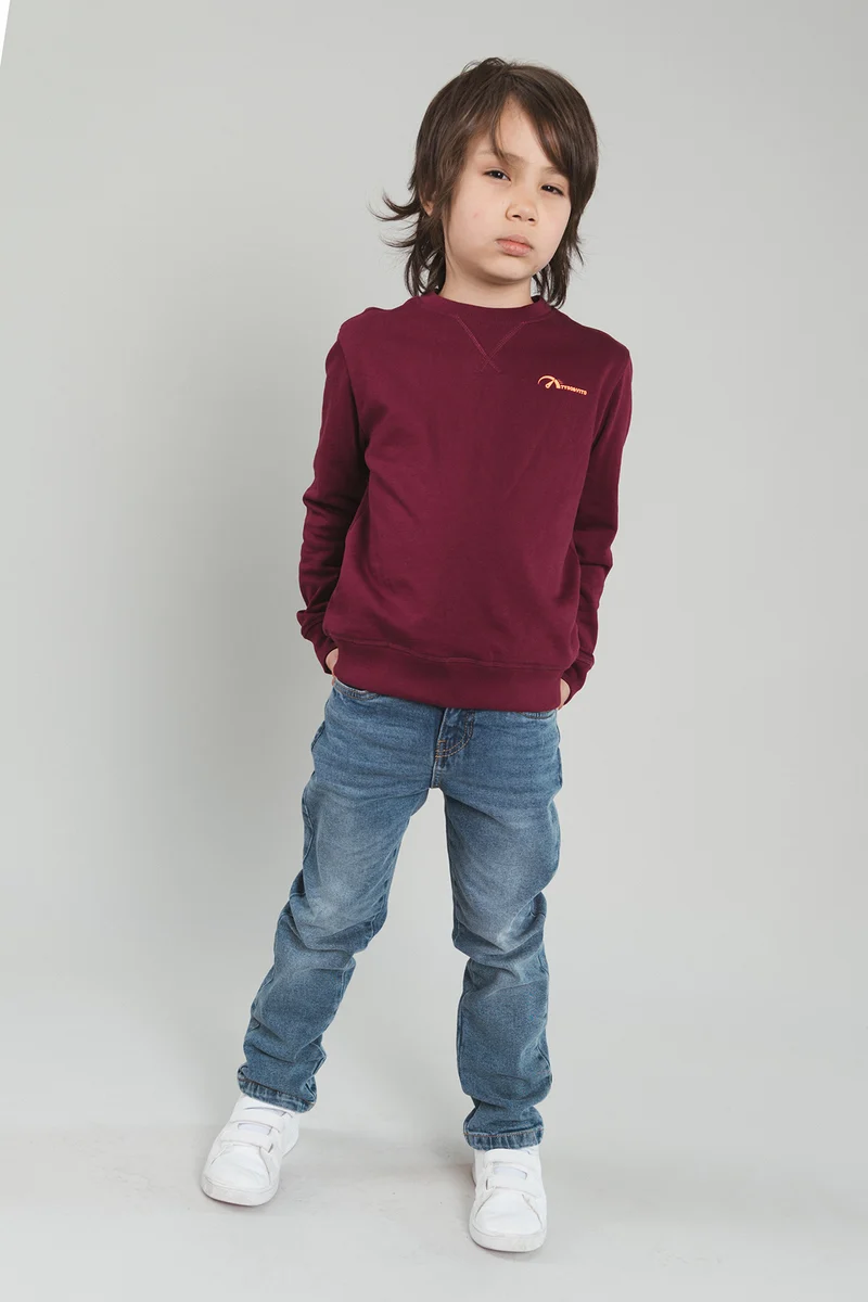 TYGO&vito Jongens, Sweater, SILVER, Merlot