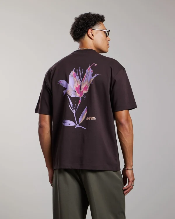 AEDEN T-SHIRT MANOLO TEE D-BRUIN