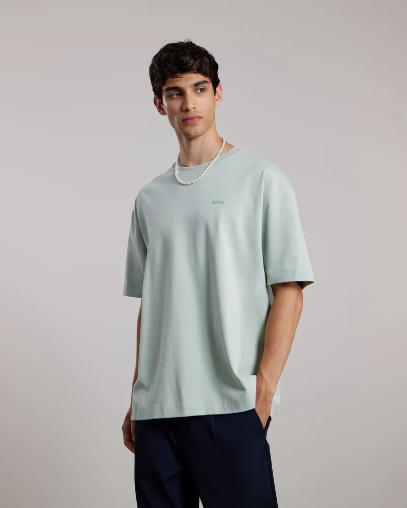 AEDEN T-SHIRT ASH TEE L-GROEN