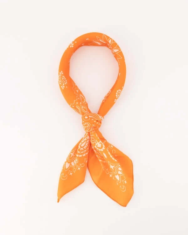 Dames, Sjaaltjes, Oranje