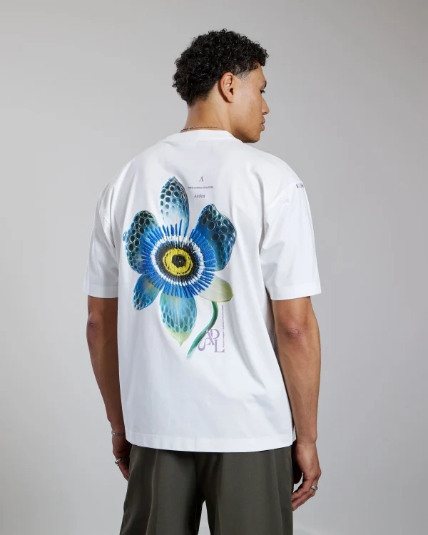 AEDEN T-SHIRT LUCERIS TEE OFF WHITE