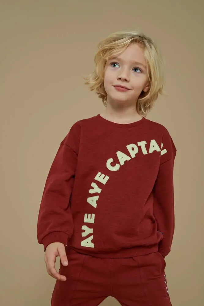 Sturdy Boys Sweater, WAVES AND WHALES, Bordeaux
