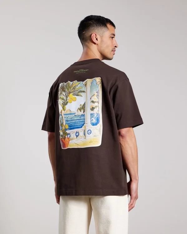AEDEN T-SHIRT ADRIO TEE BRUIN