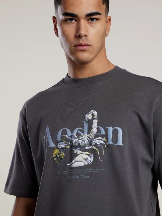 AEDEN T-SHIRT MAXTON TEE D-GRIJS