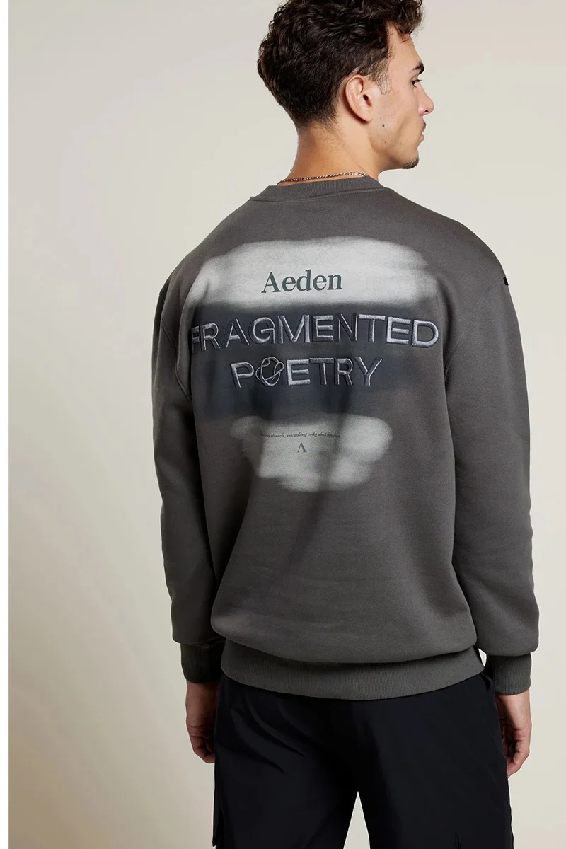 AEDEN SWEATER DIDIER SWEATER D-GRIJS